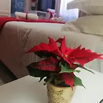L' Albero Di Giada 3* Caserte