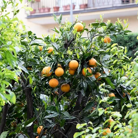 L' Albero Di Giada Frühstückspension Caserta