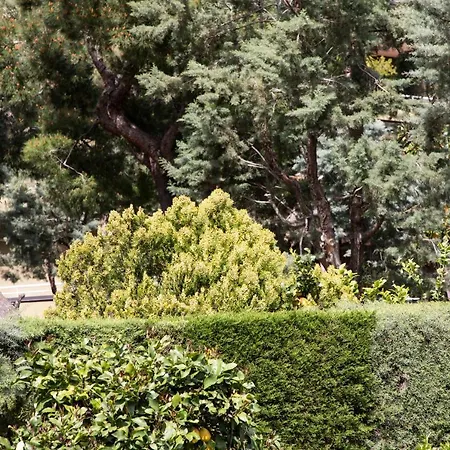 L' Albero Di Giada Caserte