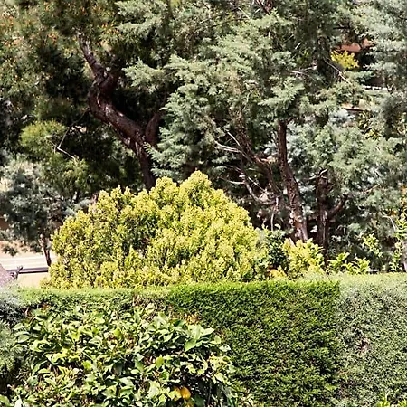 L' Albero Di Giada 3*