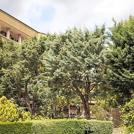 L' Albero Di Giada 3* Caserta