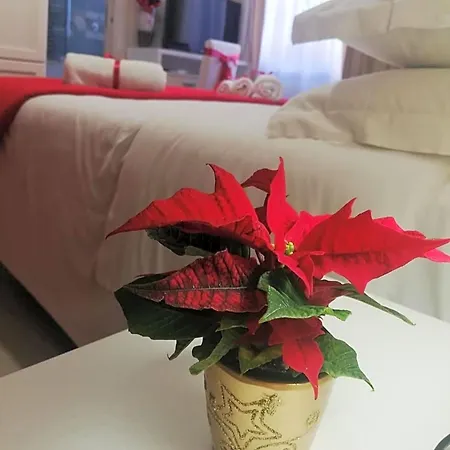 L' Albero Di Giada 3*