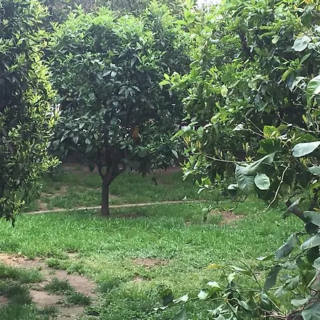 L' Albero Di Giada 3* Caserta