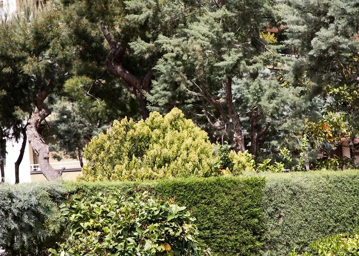 L' Albero Di Giada 卡塞塔